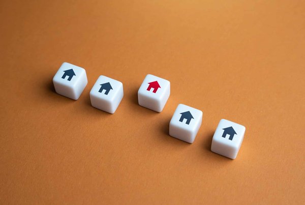 Quelle volière pour perruche ?