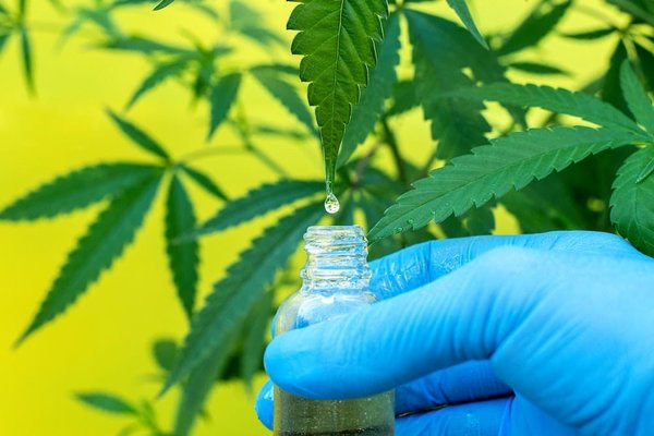 Astuces pour bien choisir ses résines de plantes médicinales