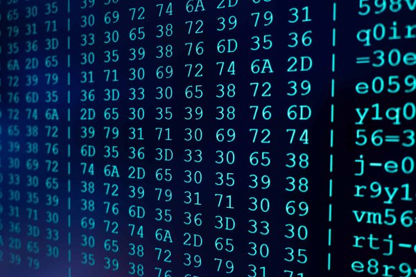 Comment développer un programme d'éducation environnementale pour les enfants des communautés autochtones ?